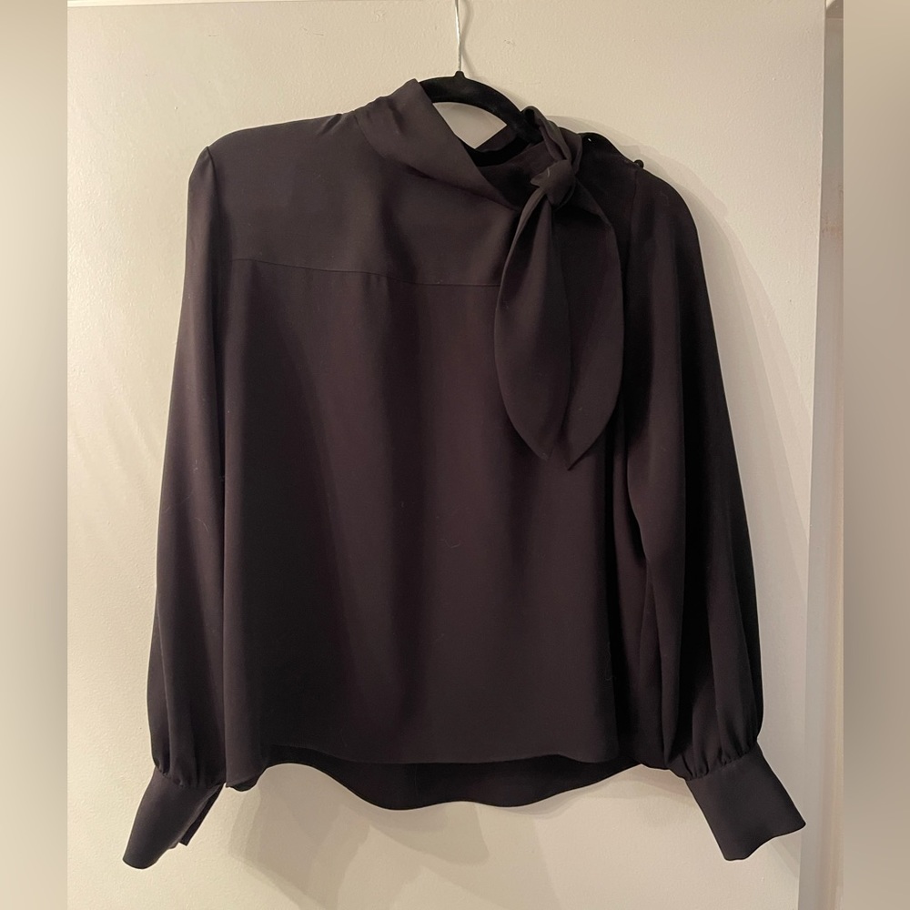 Wilfred blouse (aritzia)